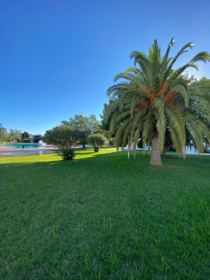 Appartement New Algarvegas Paradise